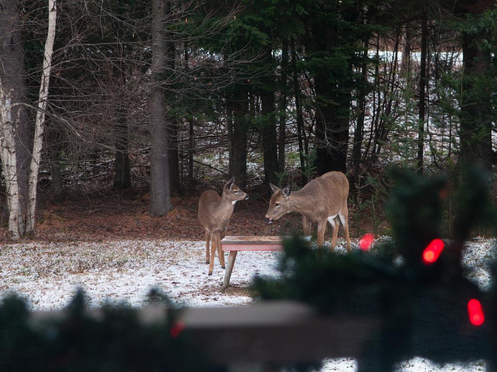 Gite Crystal Inn Mont-Tremblant Zewnętrze zdjęcie